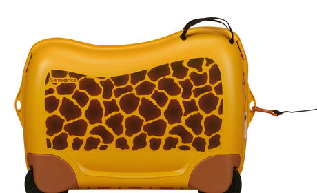 Multifunctional leash