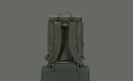 Back