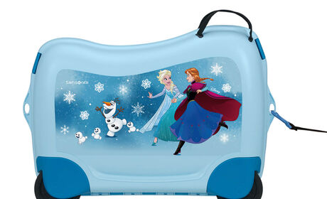 Multifunctional leash