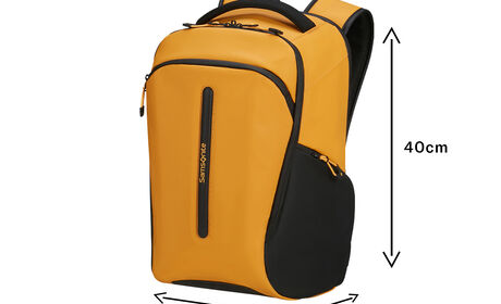 Ryanair free on board