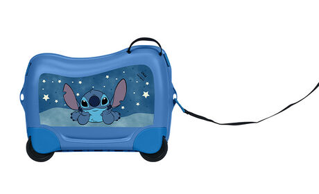 Multifunctional leash