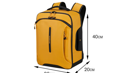 Wizz Air free on board