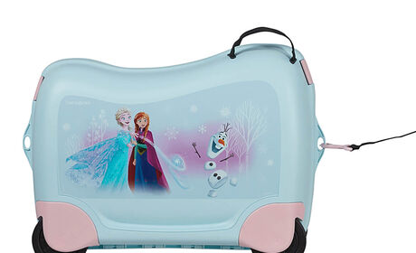 Multifunctional leash