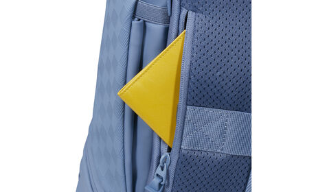 Secret back compartment