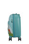 Wondertrips Cabin luggage