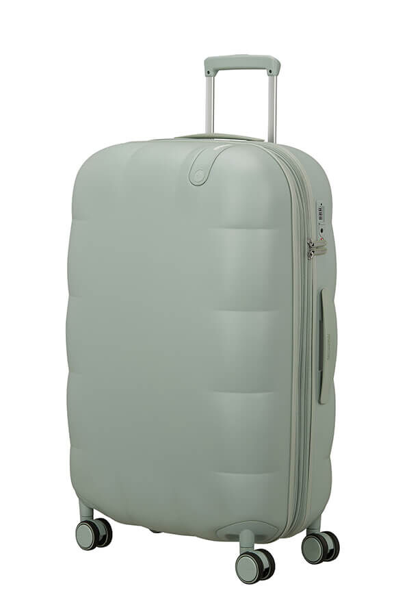 Dreami Large Check-in