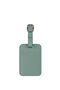 American Tourister American Tourist. Ta Luggage Tag X2  Iceberg Green