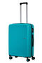 Summer Hit Spinner (4 wheels) 66 cm