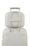 Dreami Beauty case