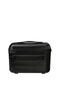 American Tourister Flashline Beauty Case  Shadow Black