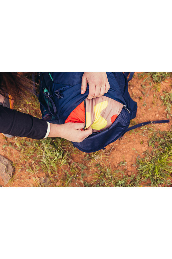 Gregory  AMBER 44 RC  Lichen Green