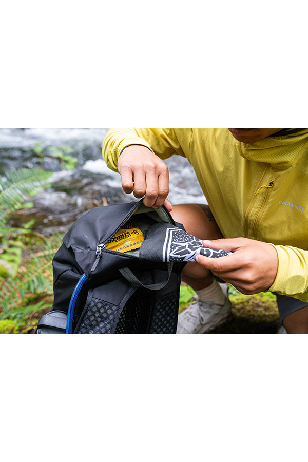 Gregory  Arrio 22 RC  Amber Haze