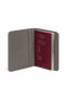 Lipault Lost In Berlin Passport cover  Ash Stone