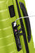 Proxis Spinner (4 wheels) 55cm (23/26cm)