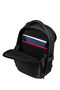 Samsonite Pro-Dlx 6 Backpack 14.1'  Black